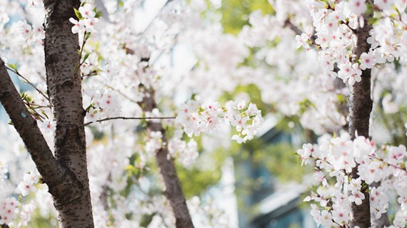 AdobeStock_771370433_Large.jpeg (296.1 KB)