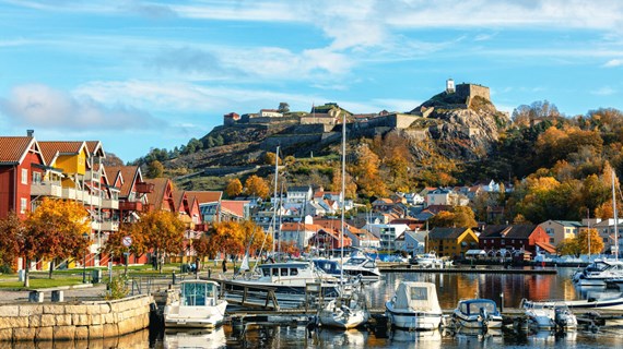 Halden (296786016)_Medium.jpeg (372.5 KB)