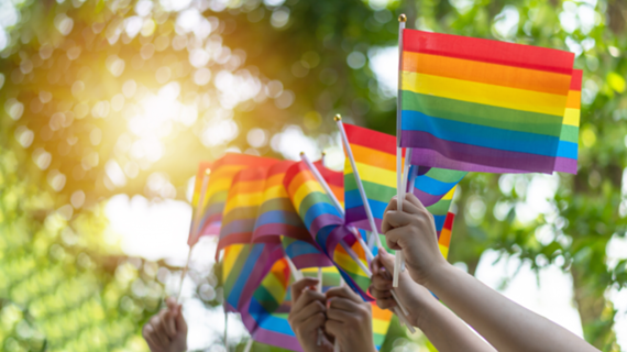 Pride Flags (438447088)_Small.png (323.5 KB)