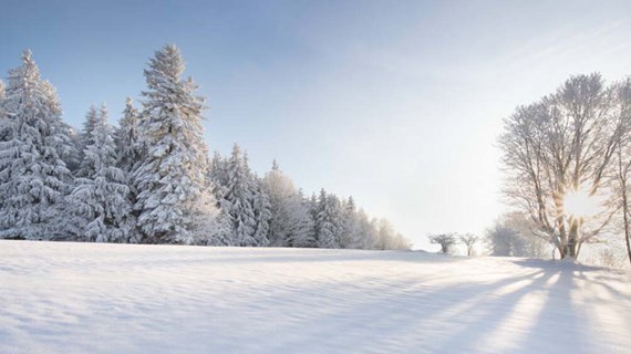 Caverion Winter Front page.jpg (91.8 KB)